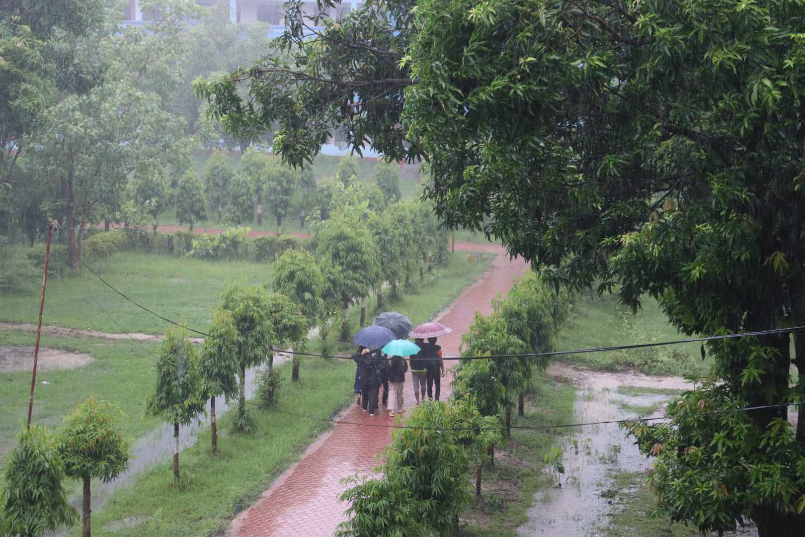देशका धेरै ठाउँमा मौसम क्रमिक रूपमा सुधार हुने